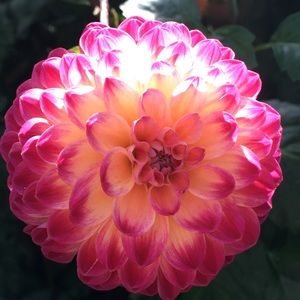 Meet your Posher, Leanne